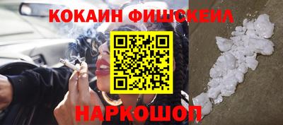 ешки Кингисепп