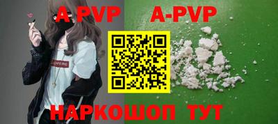 ешки Кингисепп