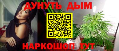 ешки Кингисепп
