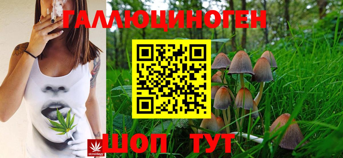 Чусовой  Псилоцибиновые грибы мицелий  Вход с VPN 